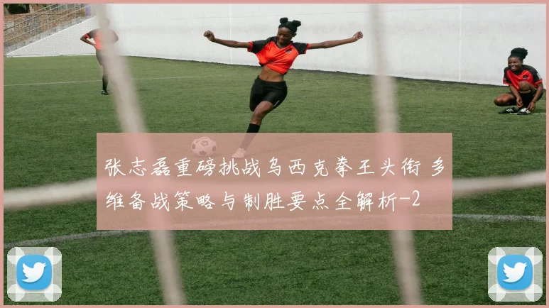 张志磊重磅挑战乌西克拳王头衔 多维备战策略与制胜要点全解析