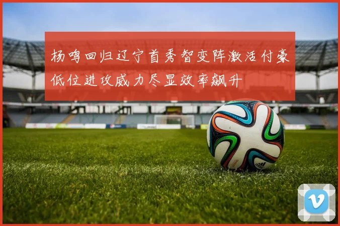 杨鸣回归辽宁首秀智变阵激活付豪低位进攻威力尽显效率飙升