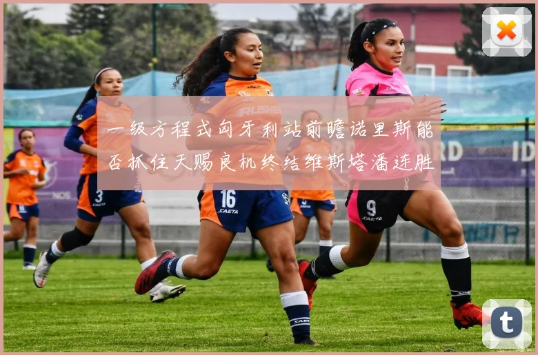一级方程式匈牙利站前瞻诺里斯能否抓住天赐良机终结维斯塔潘连胜纪录