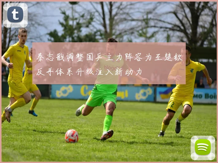 秦志戬调整国乒主力阵容为王楚钦反手体系升级注入新动力