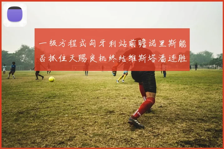 一级方程式匈牙利站前瞻诺里斯能否抓住天赐良机终结维斯塔潘连胜纪录